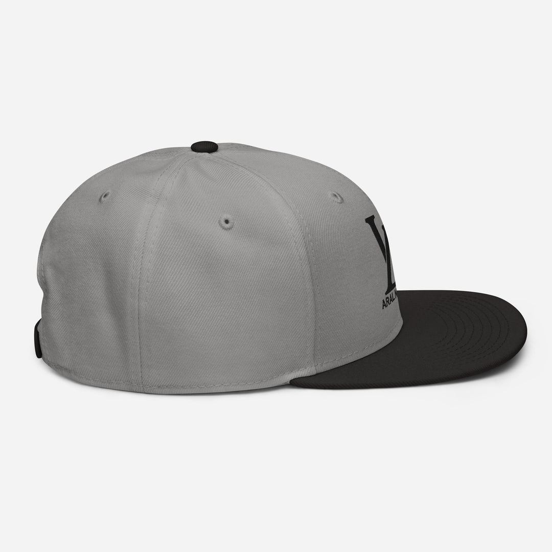 Gorra snapback