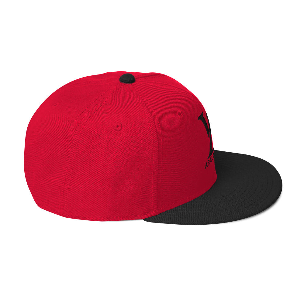 Gorra snapback