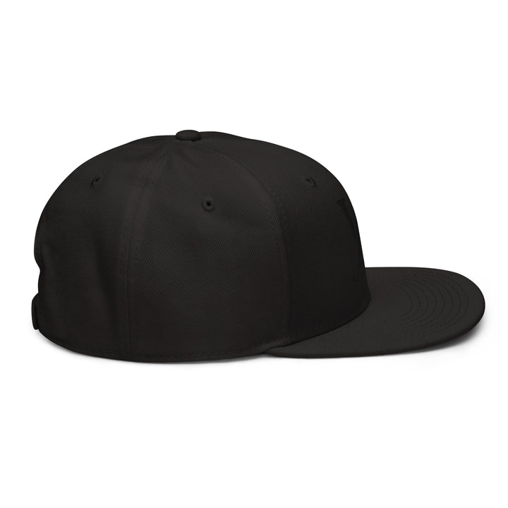 Gorra snapback