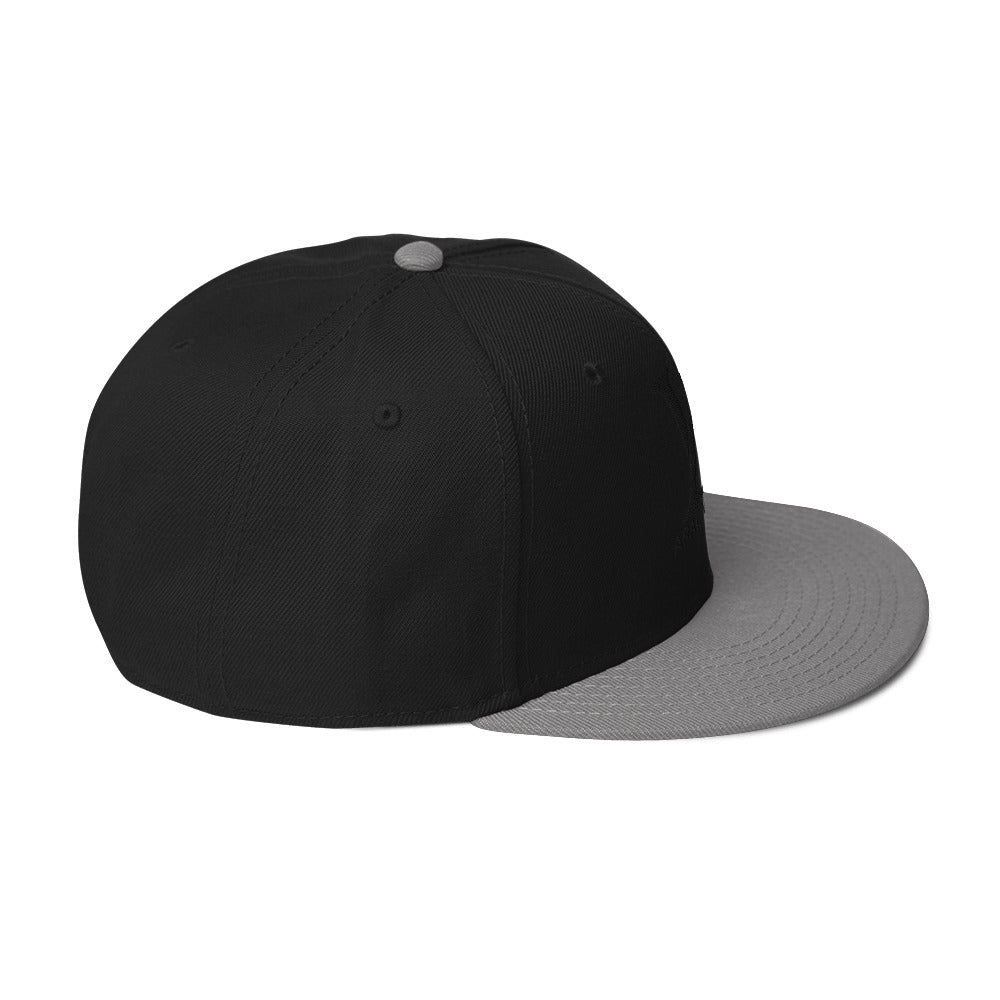 Gorra snapback