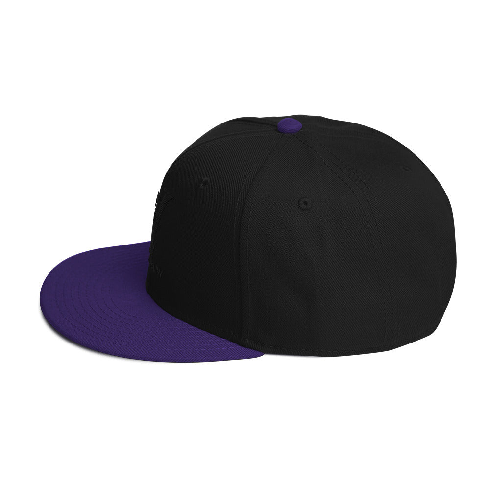 Gorra snapback