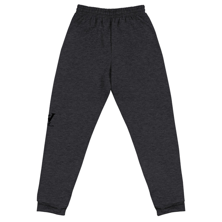 Pantalón deportivo unisex tipo jogger